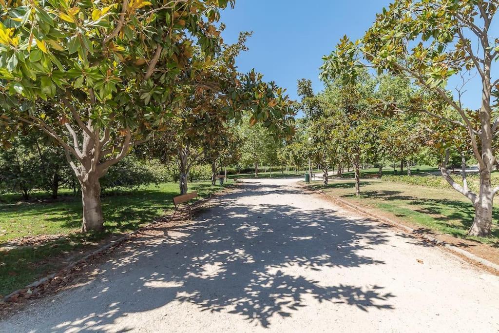 Estudio Acogedor En Zona Norte Madrid Dış mekan fotoğraf